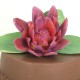Chocolate Pinata Cake with Pink Chocolate Dahlia Cake Topper